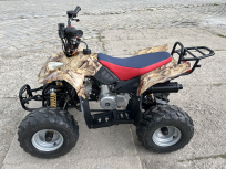 Čtyřkolka ATV Polaris 110 ccm m